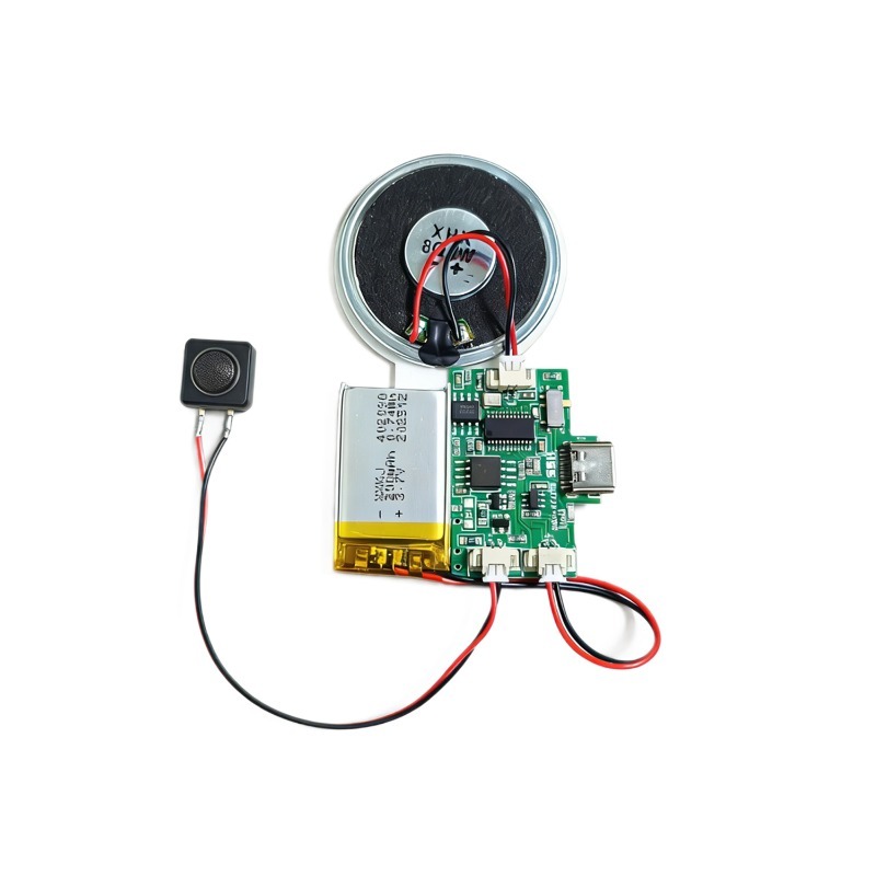 Audio Music Download Free - Modulo Audio Wireless Ricaricabile con Chip